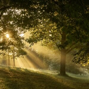 vivre le solstice - spiritualiser son être